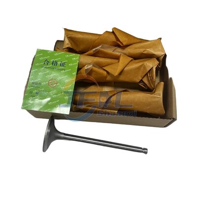 खरीदें उच्च गुणवत्ता वाले मूल ट्रक पार्ट्स 4995554 4994143 डोंगफेंग 6W मॉडल B19033 के लिए वाल्व इनलेट और एग्जॉस्ट एयर वाल्व एक्सेसरीज ऑनलाइन निर्माण